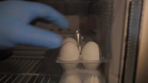 Close view cook hand in blue glove takes egg from fridge Vidéo 104151452