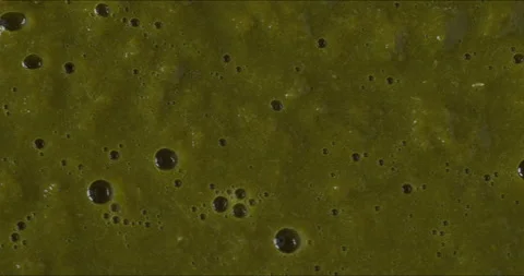 Close-up view of cooked and high-speed-blended mustard greens. Stock Footage 311799707