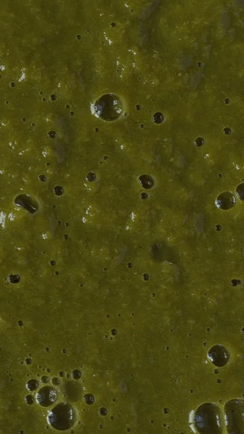 Close-up view of cooked and high-speed-blended mustard greens. Vertical video. Video stock 311799712