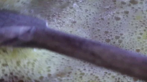 Close up view of cooking and stirring pineapple jam with wooden spatula. Vídeos de archivo 342298872