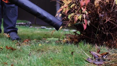 Close-up view of cordless leaf blower, removing leaves from grass, front view Stock Footage 326966617