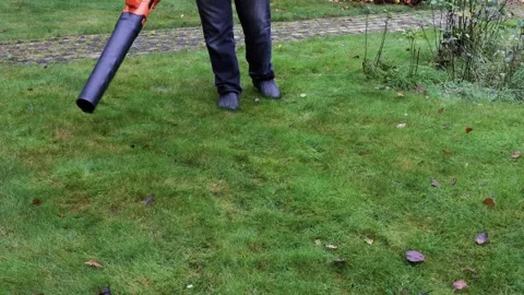 Close-up view of cordless leaf blower, removing leaves from grass, front view Stock Footage 326967918