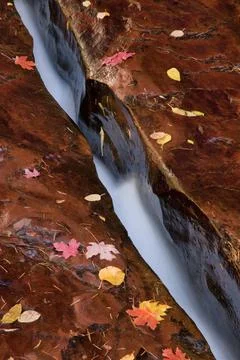 Close-up view of "The Crack" with fall leaves in the Subway section, Utah Stock Photos
