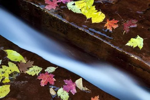 Close-up view of "The Crack" in the Subway section, Utah Foto stock