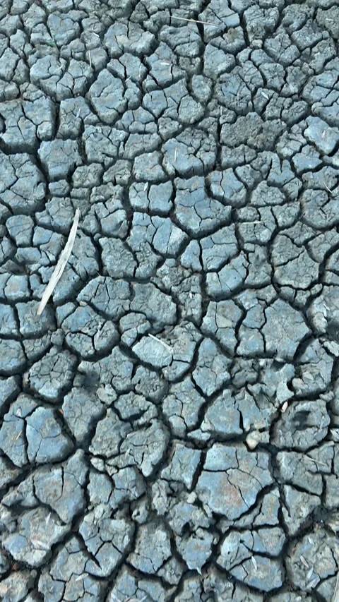Close-up view of cracked dry earth surface with intricate patterns Stock-Footage 343442570