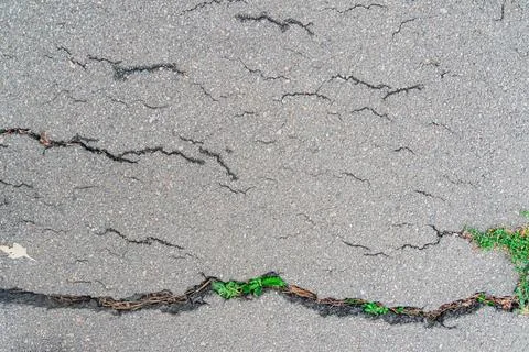Close-up view of cracked pavement with overlapping angular patterns, vegetati Fotos de archivo