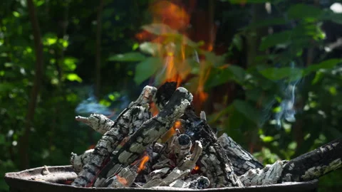 Close Up View of a Crackling Campfire Burning in a Rustic Metal Fire Pit 動画素材 337423924