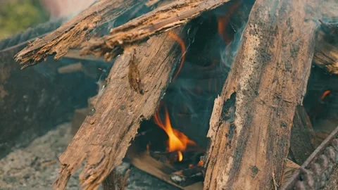 A close-up view of crackling firewood, with flames flickering between pieces Stock Footage 315341213