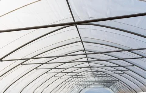 Close-up view of a curved metal framework supporting a translucent plastic co Foto stock