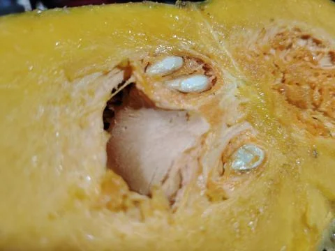 Close-up view of a cut pumpkin interior showing bright orange flesh, fibrou.. Stock Photos