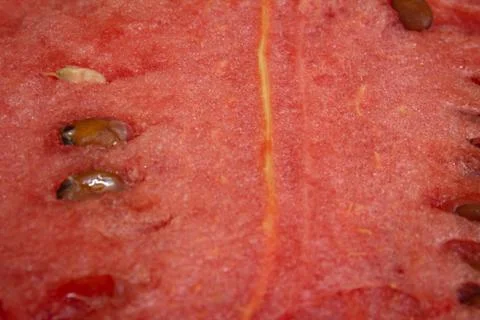 Close view of the cut watermelon fruit. Use for healthy snack concept. Stock Photos