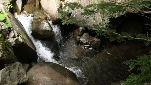 A close view of Dardagna stream's water flowing Video stock 99313965