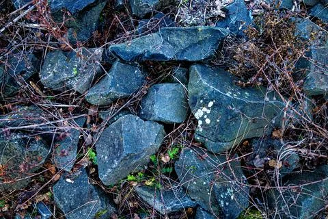 A close-up view of dark, angular rocks interspersed with dry, tangled branche Foto stock