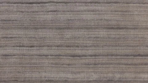 A close-up view of dark, horizontal wood grain texture with natural organic Stock Footage 339669199
