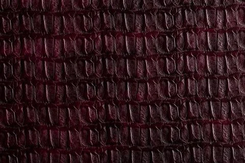 Close view of dark textured surface resembling crocodile skin found in a de.. Stock Photos