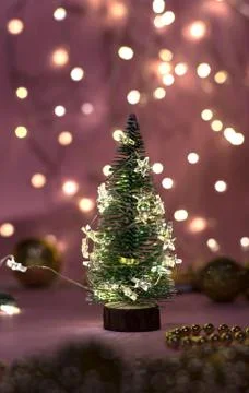 Close-up view of a decorative live mini-Christmas tree in a soft bokeh of gar Stock Photos