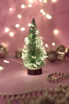 Close-up view of a decorative live mini-Christmas tree in a soft bokeh of gar Stock Photos