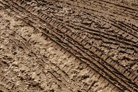 Close-up View of Deep Tire Tracks in Wet Brown Mud Stock Photos