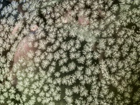 Close-up view of delicate frost patterns on a glass surface, creating a Stock Photos