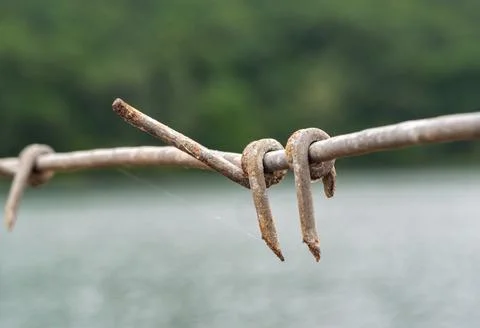 A close up view details a segment of old, rusty barbed wire. Fotos de archivo