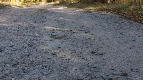 A close-up view of a dirt path scattered with small rocks, patches of grass 스톡 동영상 295140625