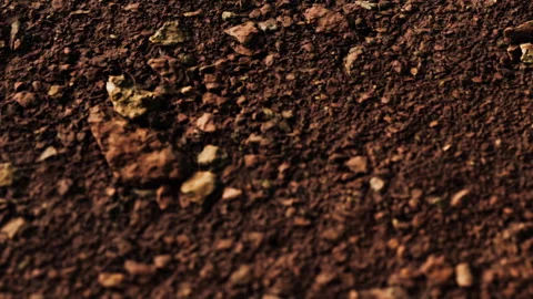 Close view of dirt with small rocks during daytime in outdoor setting Video stock 339458258