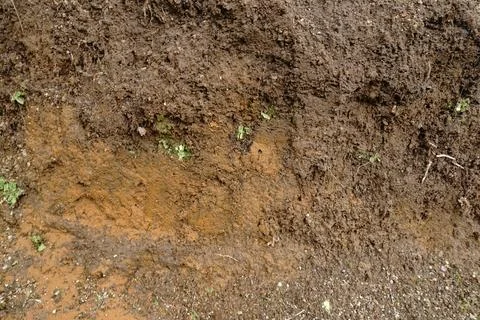Close-up view of disturbed soil layers revealing textures and colors of earth Fotos Stock