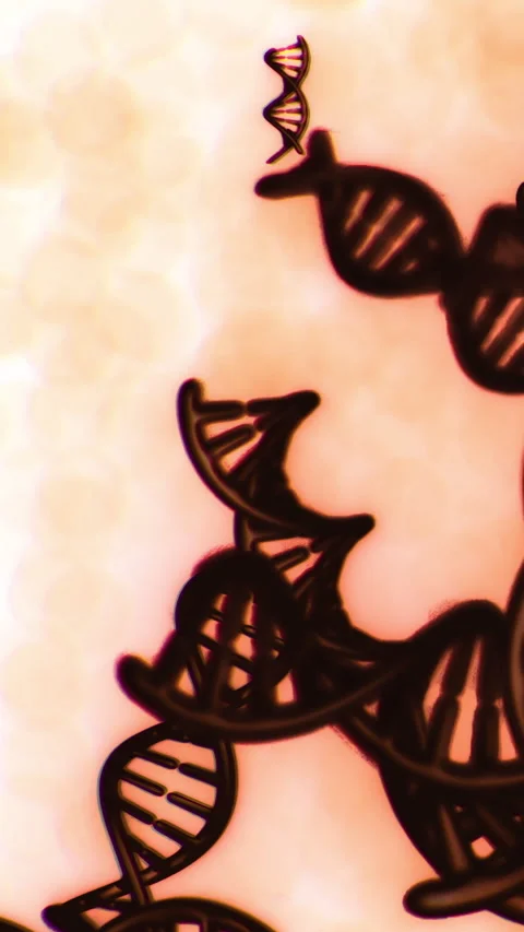 Close up view of DNA strands under microscope showing structure and detail Stock Footage 334885414