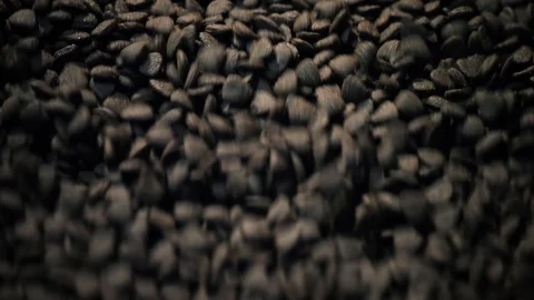Close-up view of dog and cat food moving through the production line. Equipment Stock Footage 128409773