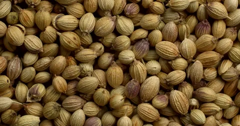 A close-up view of dried coriander seeds as background texture Stock Footage 299930852