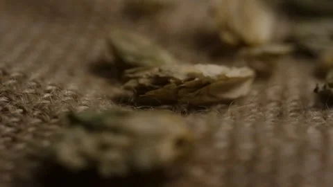 Close up view of dried hops on burlap fabric 動画素材 327829405