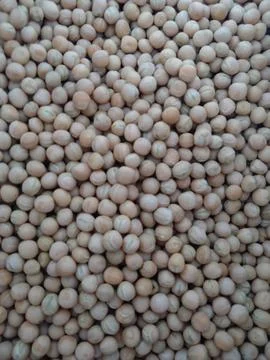 Close-Up View of Dried Peas in Bulk Stock Photos