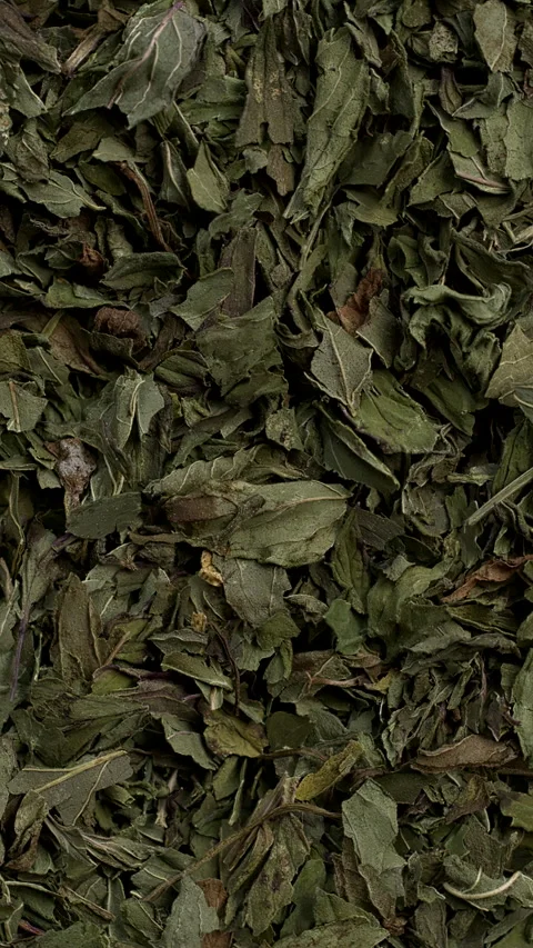 Close-up view of dried peppermint leaves. Vertical video. Video stock 300946120