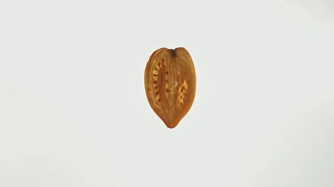 Close-Up View of a Dried Seed with Detailed Texture Stock Footage 306351346