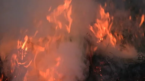 Catching Flames Stock Videos – Royalty-Free HD & 4K Videos