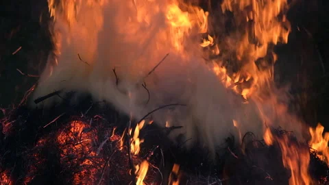 Close up view on Dry grass in the field catching wild fire. Grass in in flames Stock Footage 198581711