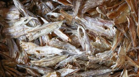 Close up view of dry seafood Stock Photos