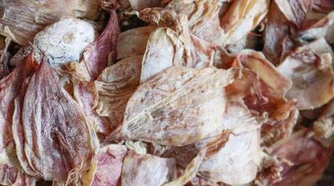 Close up view of dry seafood Stock Photos