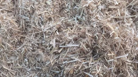 Close Up View of Dry Wheat Chaff and Finely Cut Straw on Ground Stock-Fotos
