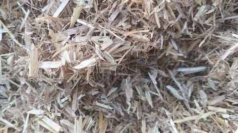 Close Up View of Dry Wheat Chaff and Finely Cut Straw on Ground 스톡 사진