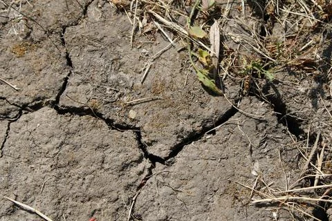 Close-Up View of Earthy Soil Texture in Natural Light Stock Photos