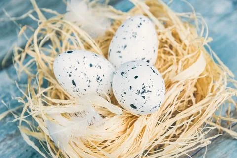 Close up view of easter eggs in a nest. Blue rustic wood background. Stock Photos