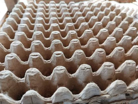 Close-up view of egg trays used for organizing and protecting eggs in commercial Stock Photos