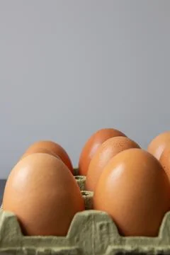 Close-up view of eggs in an egg carton Stock Photos