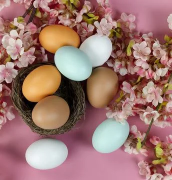 Close up view of eggs in nest with light artificial cherry blossom flowers Stock Photos