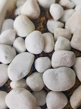 Close-up view of elegant white rocks, showcasing their unique textures Stock Photos