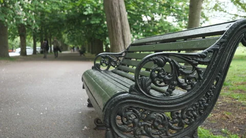 A close up view of an empty bench in a park. Stock Footage 154407225
