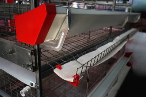 Close-up view  of empty caged rearing equipment in Chicken Farm. Stock Photos