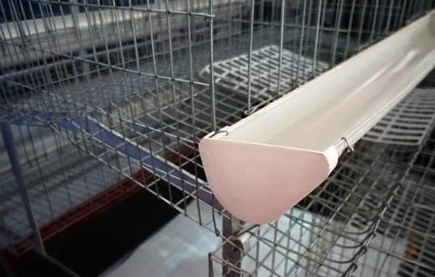 Close-up view  of empty caged rearing equipment in Chicken Farm. Stock Photos