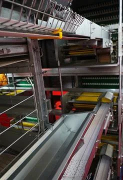 Close-up view  of empty caged rearing equipment in Chicken Farm. Foto stock